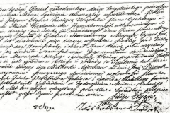Izaak-Ciner-Birth-Certificate