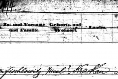 1866-Isaac-Fischlowitz-Departure-Manifest-detail 1866-Isaac-Fischlowitz-Departure-Manifest-detail