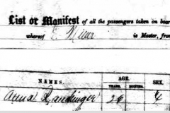 Anna-Rauchinger-Nov-1-1865-Manifest Anna-Rauchinger-Nov-1-1865-Manifest